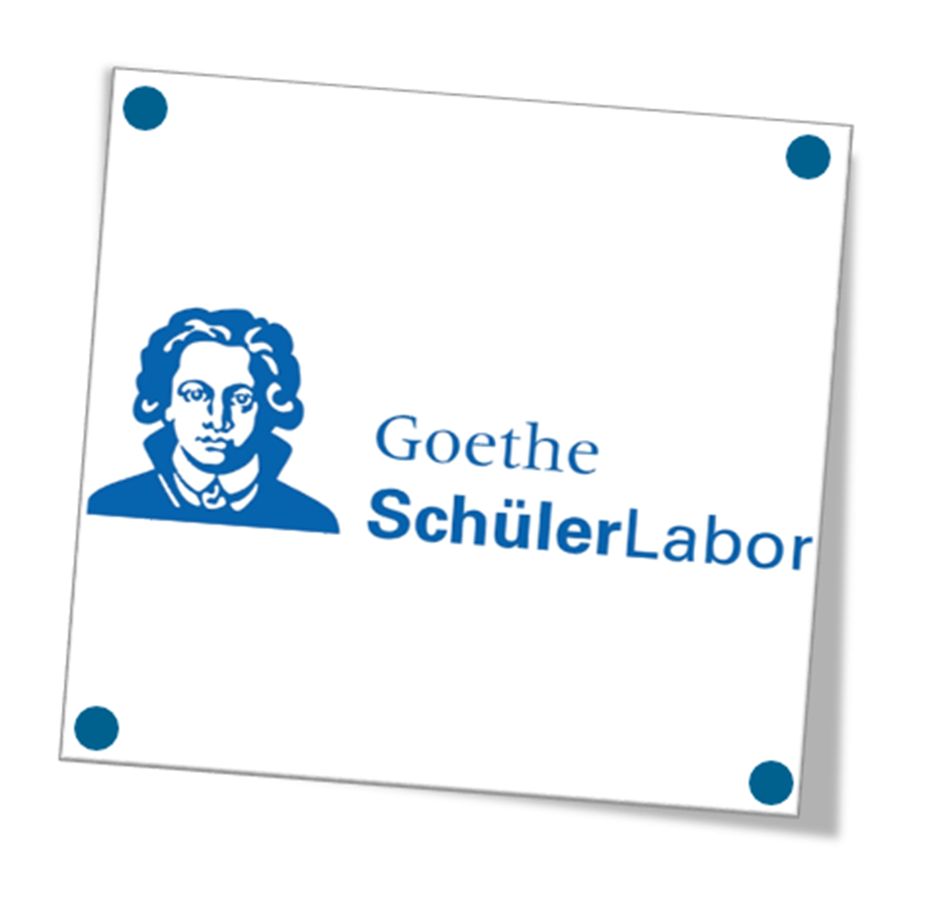 Website test gsl 14
