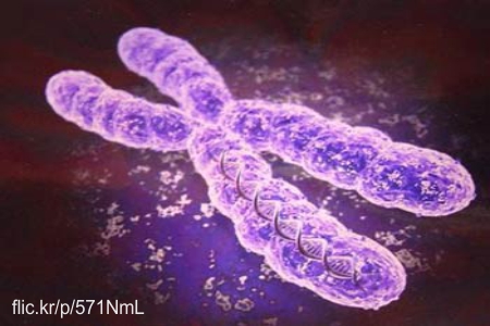 150x100 pharmbio