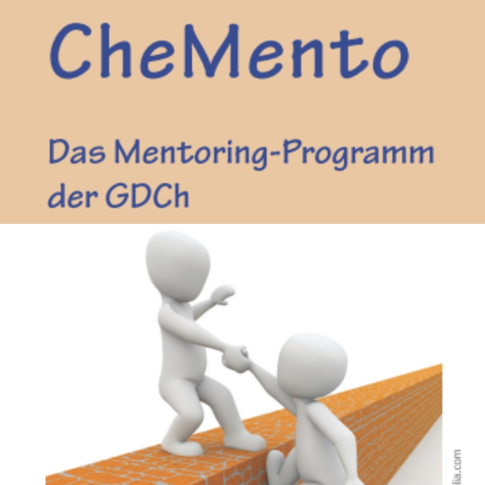 234x234 ad chemento