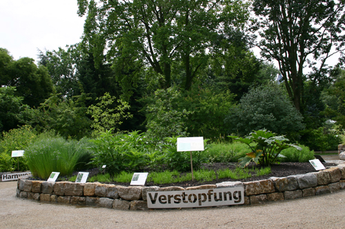 Image 55320362
