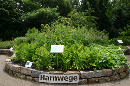 Image 55320377