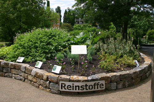 Image 55320392