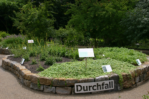 Image 55320407