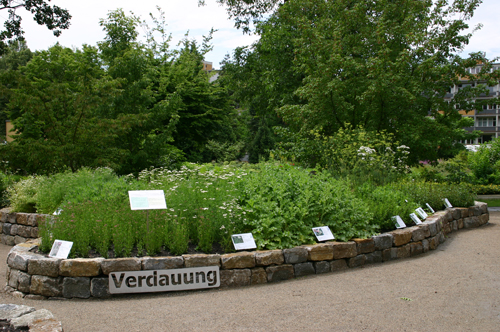 Image 55320452