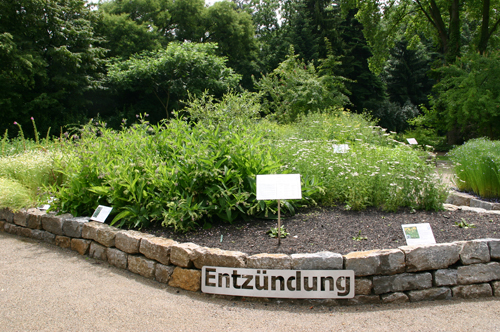 Image 55320482