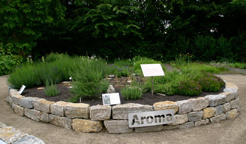 Aroma
