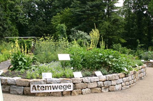 Atemwege