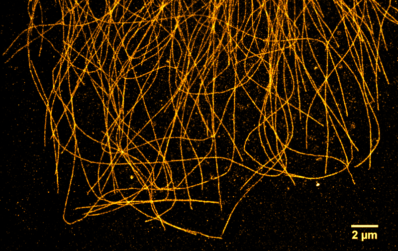 Iotm aug 2015 lowres