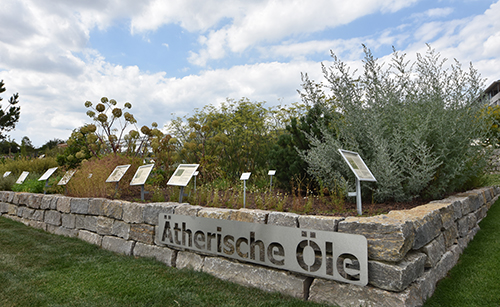 Aetherischeoele