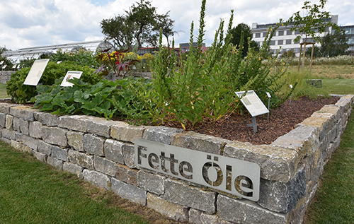 Fetteoele