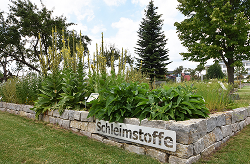 Schleimstoffe