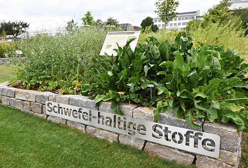 Schwefelhaltige