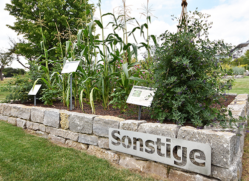 Sonstige